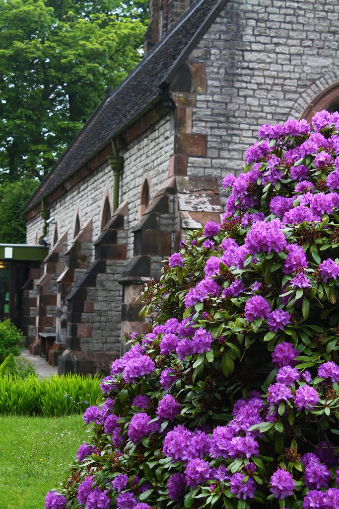 St Margaret C Of E Church by Dicky King