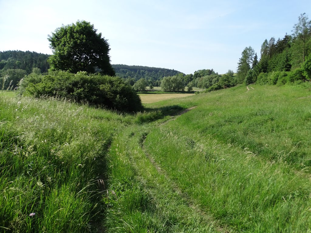 569 07 Radiměř, Czech Republic by janrichtr95