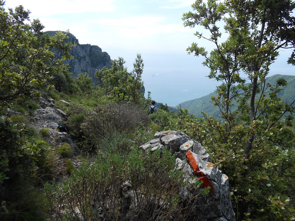 Verso Monte Falerio by Gaetano Attanasio