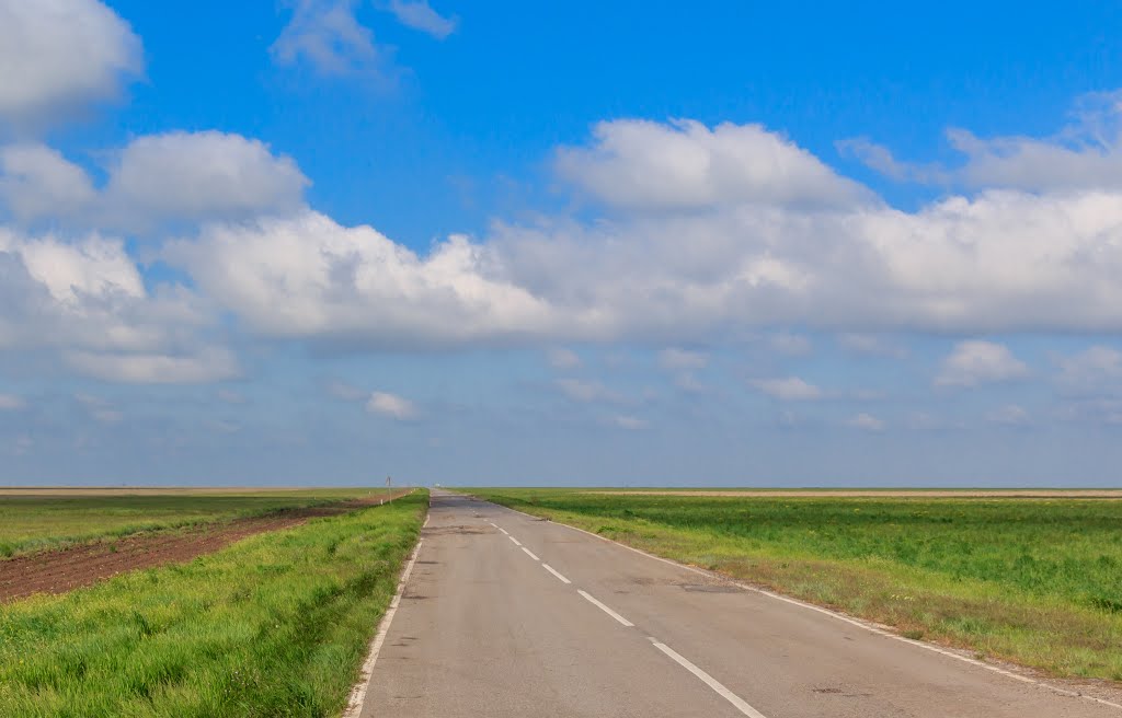 Chaplyns'kyi district, Khersons'ka oblast, Ukraine by Sergiy Chernov