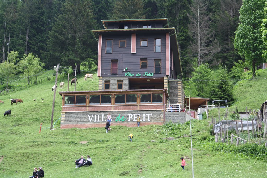 53780 Yukarışimşirli/Çamlıhemşin/Rize, Turkey by Villa de Pelit Otel