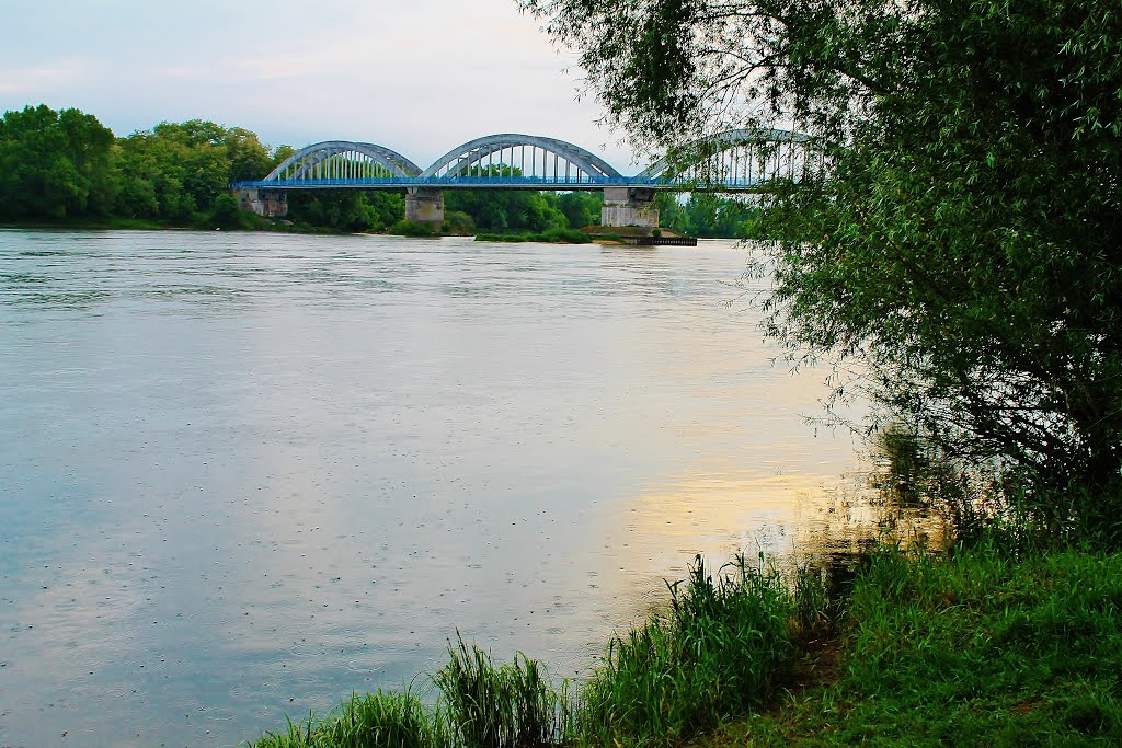 Ausschnitt der Loire bei Muides-sur-Loire - aufgenommen am Montag, 25. Mai 2015 morgens by Wolfgang Hanko