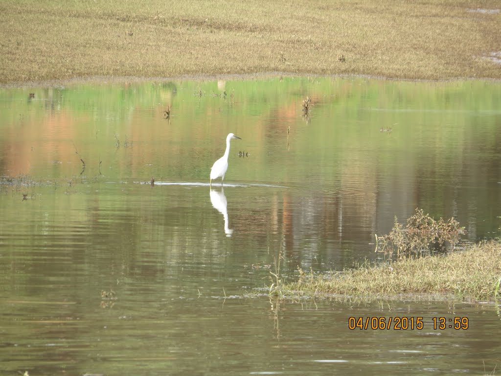 Rio Jacui - Rio Pardo, RS,Brasil by Luiz Gaspar Leal