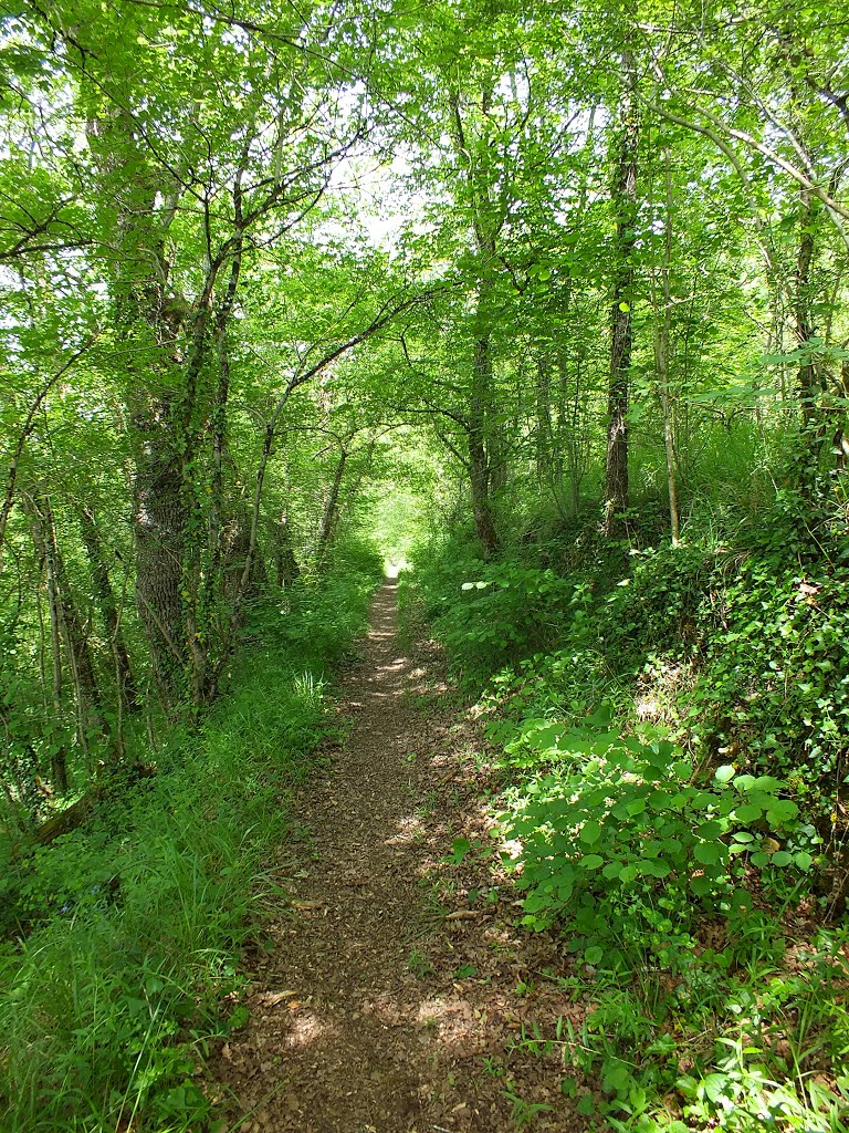 Sentier de randonnée à Capdenac (Les Travers) by Yann LESELLIER