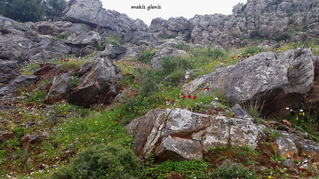 Lindos, Greece by makis glenis