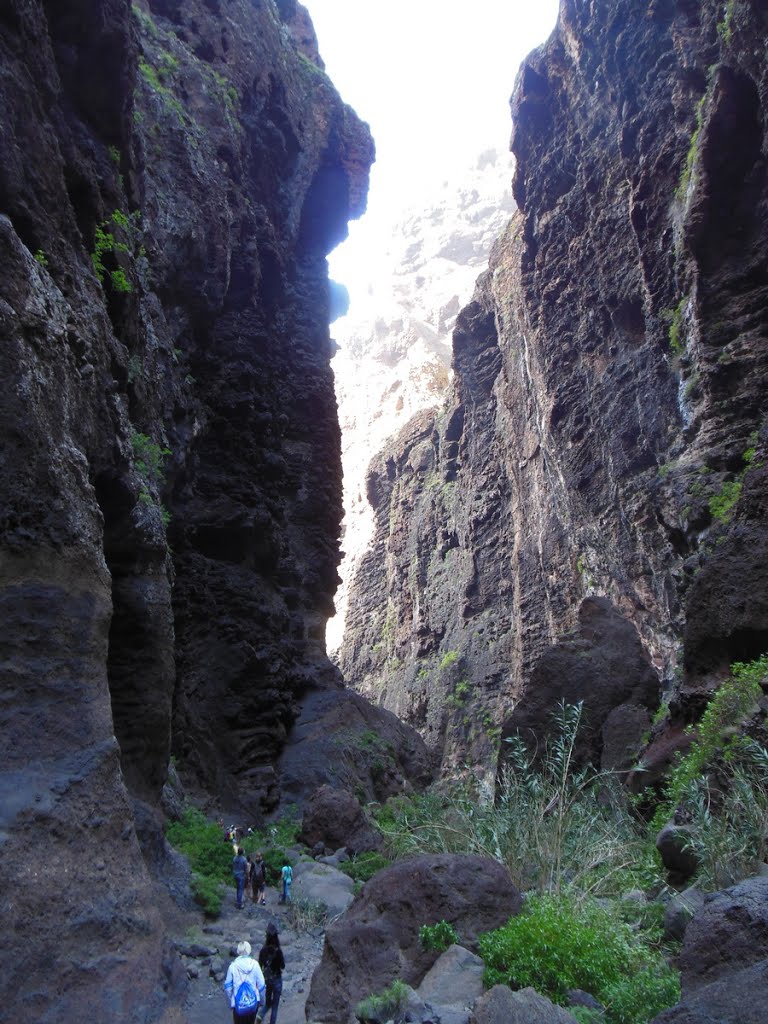 Barranco de Masca by Alex Dzh