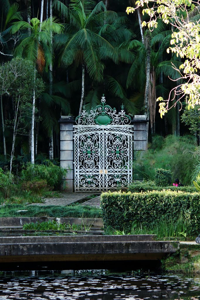 Jardim Botânico / Botanical Garden São Paulo by Vagner F. Panarello