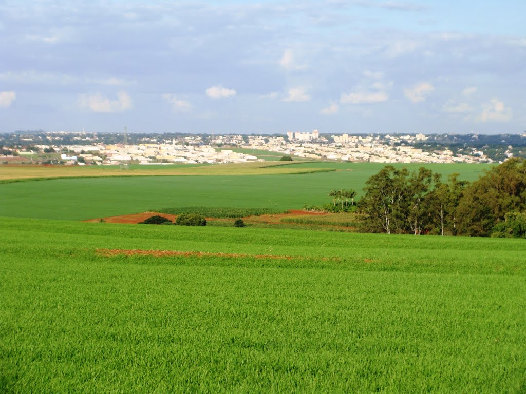 Vista da cidade de Maringá (PR) a partir da Estrada Romeira - 07.06.2015 by Deprá