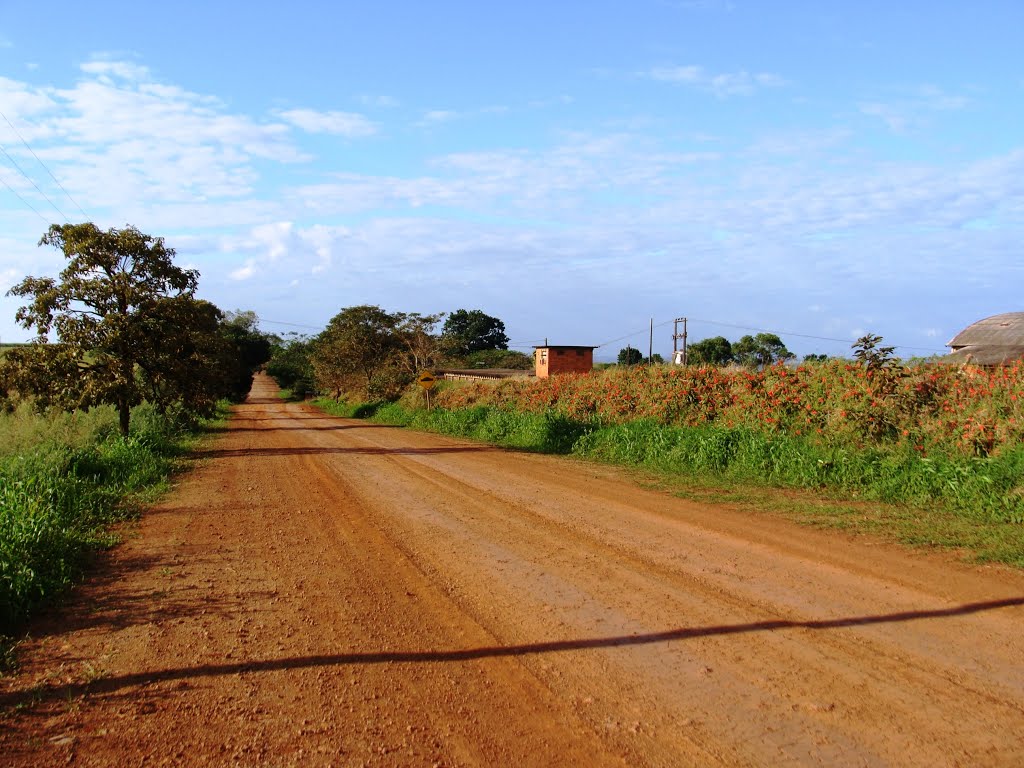 Estrada Romeira - Maringá (PR) - 07.06.2015 by Deprá