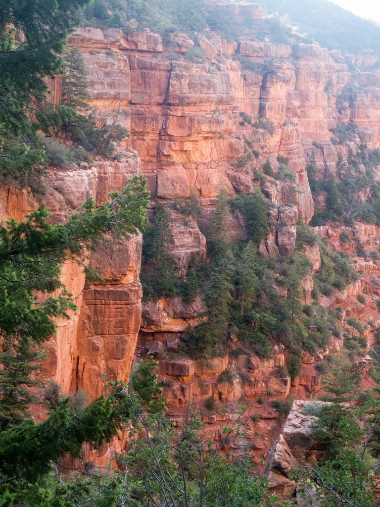 Coconino County, AZ, USA by David Turner