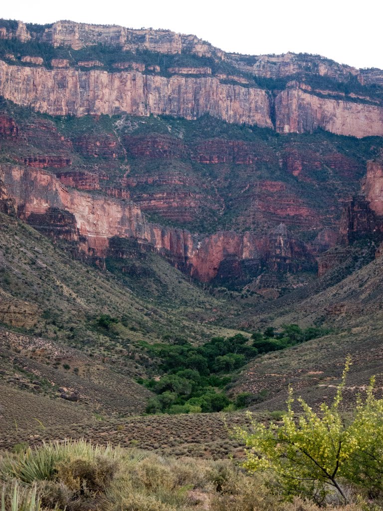 Coconino County, AZ, USA by David Turner