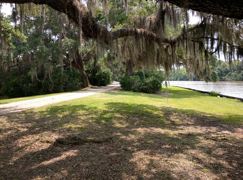 Avery Island, LA, USA by Travis Griggs