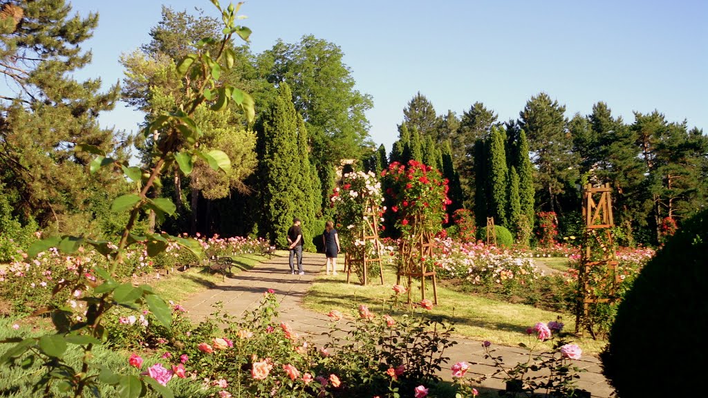 Grădina botanică by Irena Tanase