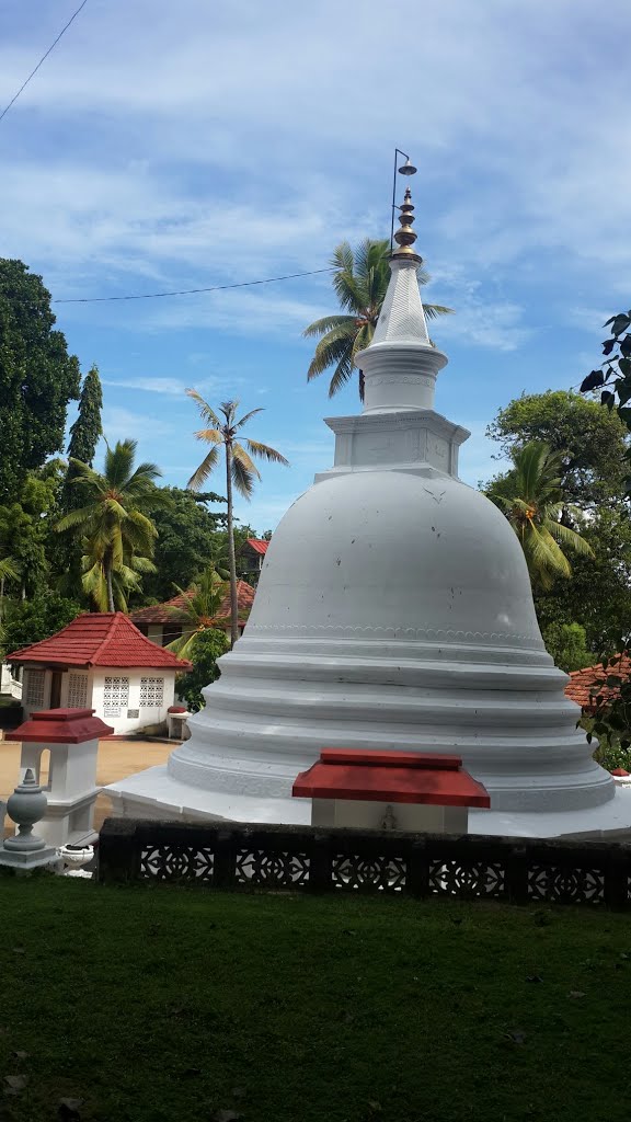 Vilawala, Sri Lanka by Senanayaka Bandara