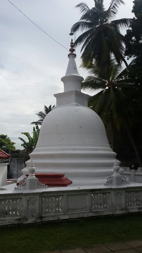 Vilawala, Sri Lanka by Senanayaka Bandara