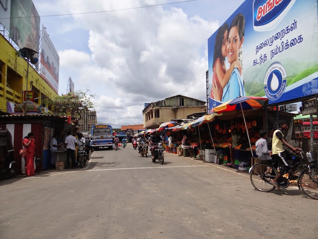 Chundukuli, Jaffna, Sri Lanka by Senanayaka Bandara