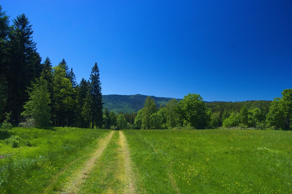 Start of downhill to Kopaniec by Aleksander Kwiatkows…