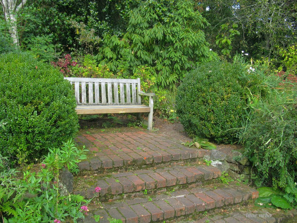 English Garden, Hamilton, NZ by inoe nebo