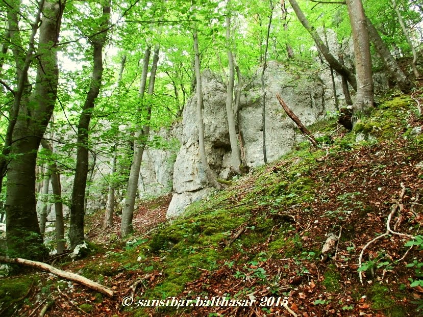 Himmelried, Kletterfelsen by Sansibar Balthasar