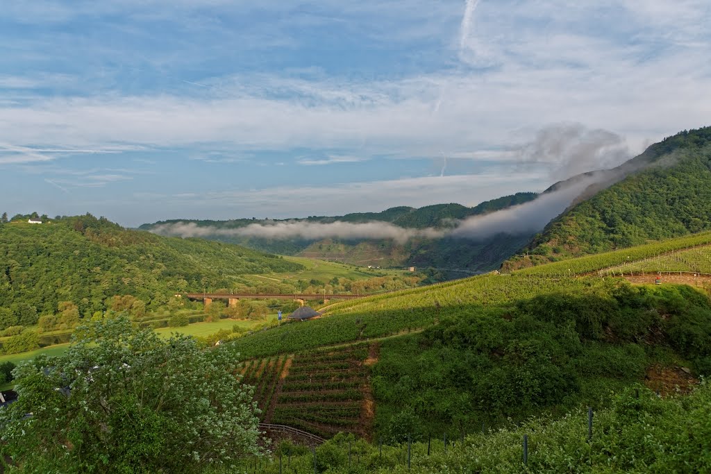 'Eller Blick zum Calmont am Morgen by Heinz Peierl