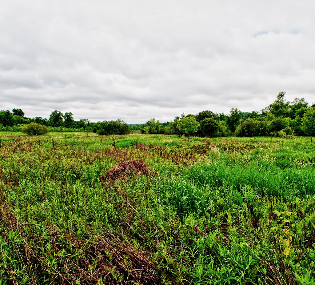 Lower Chippewa River State Natural Area by Aaron Carlson