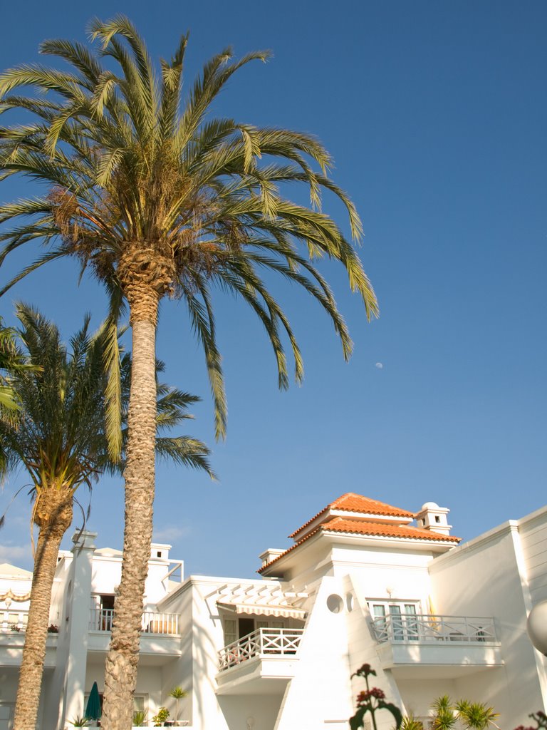 Lagos de Fanabe - palm trees by Mrrl