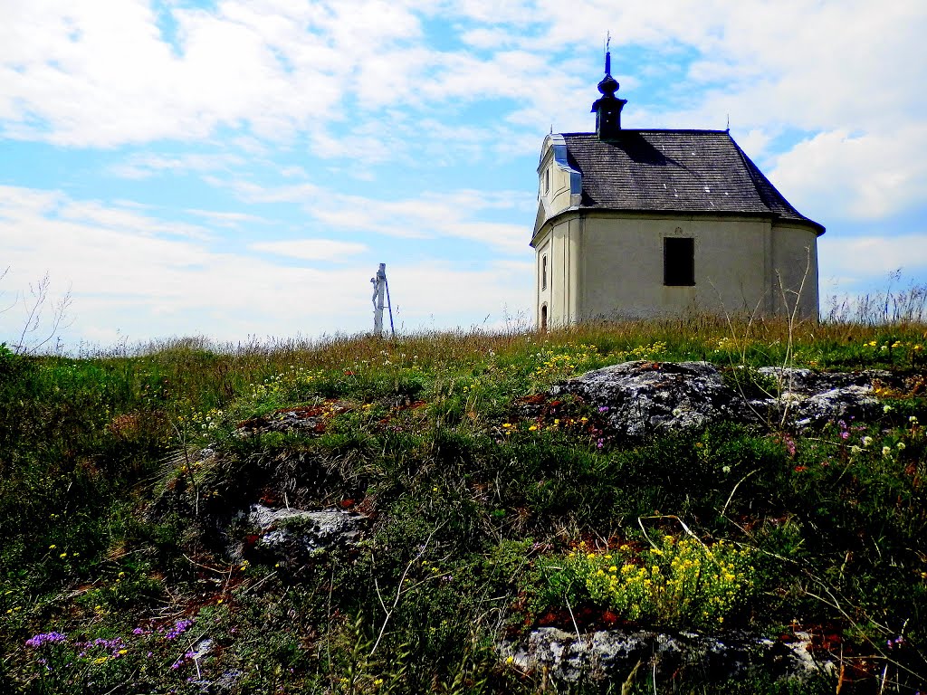 Sivá Brada-národná prírodná rezervácia by Jozef Kotulič