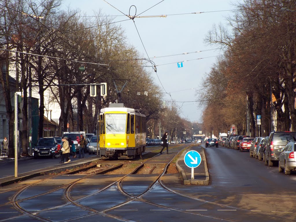 Tram Haltestelle,Bölschestrasse, Berlin- Friedrichshagen by Tomas Persson