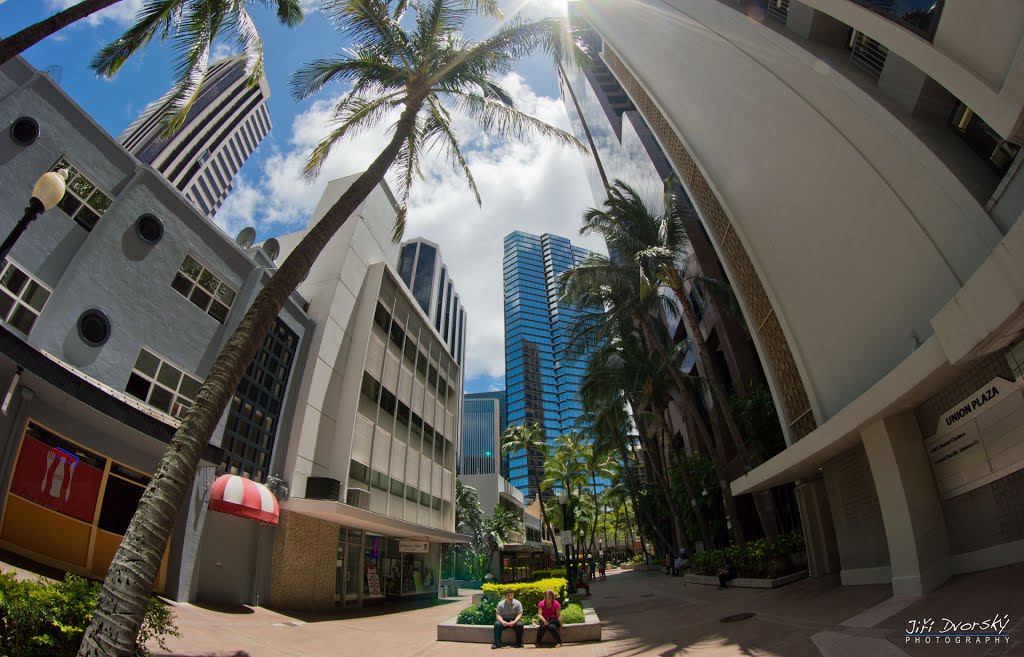 Downtown Honolulu, Oahu, Hawaii by Jiri Dvorsky