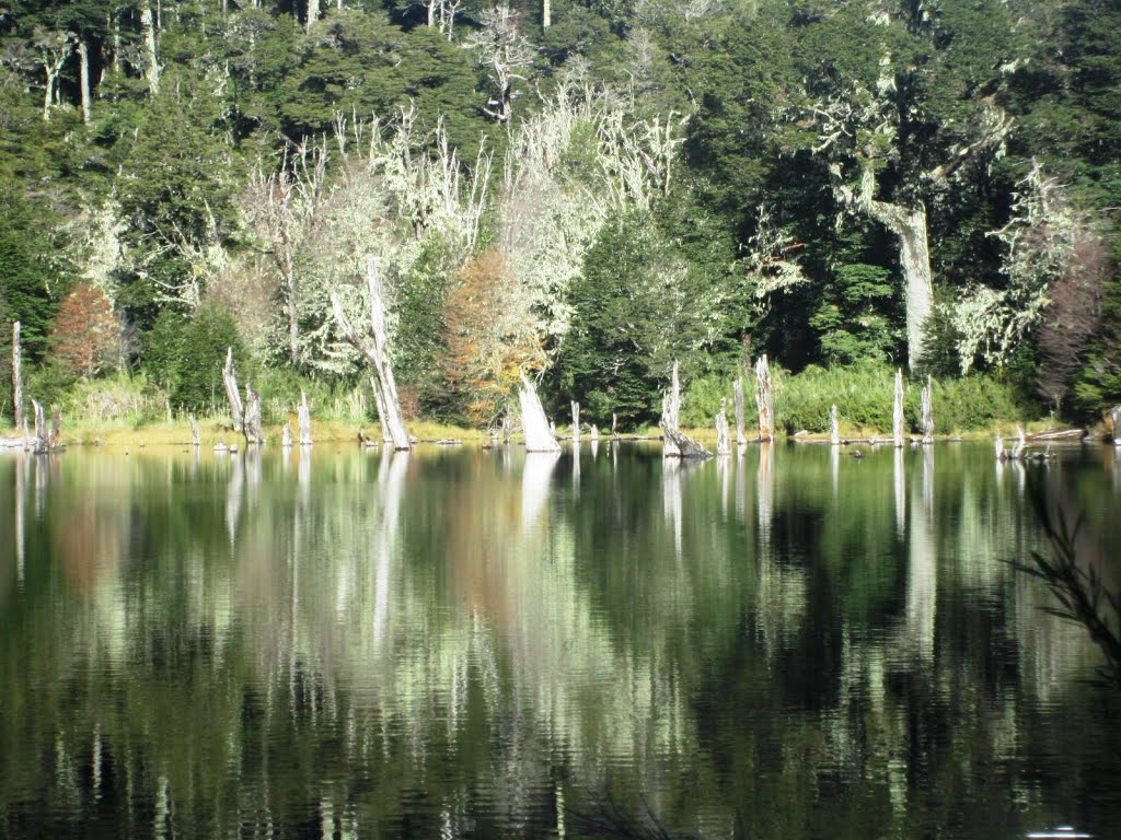 Vistas en la Laguna Captrén, Mayo 2015 by José Pedro Martínez