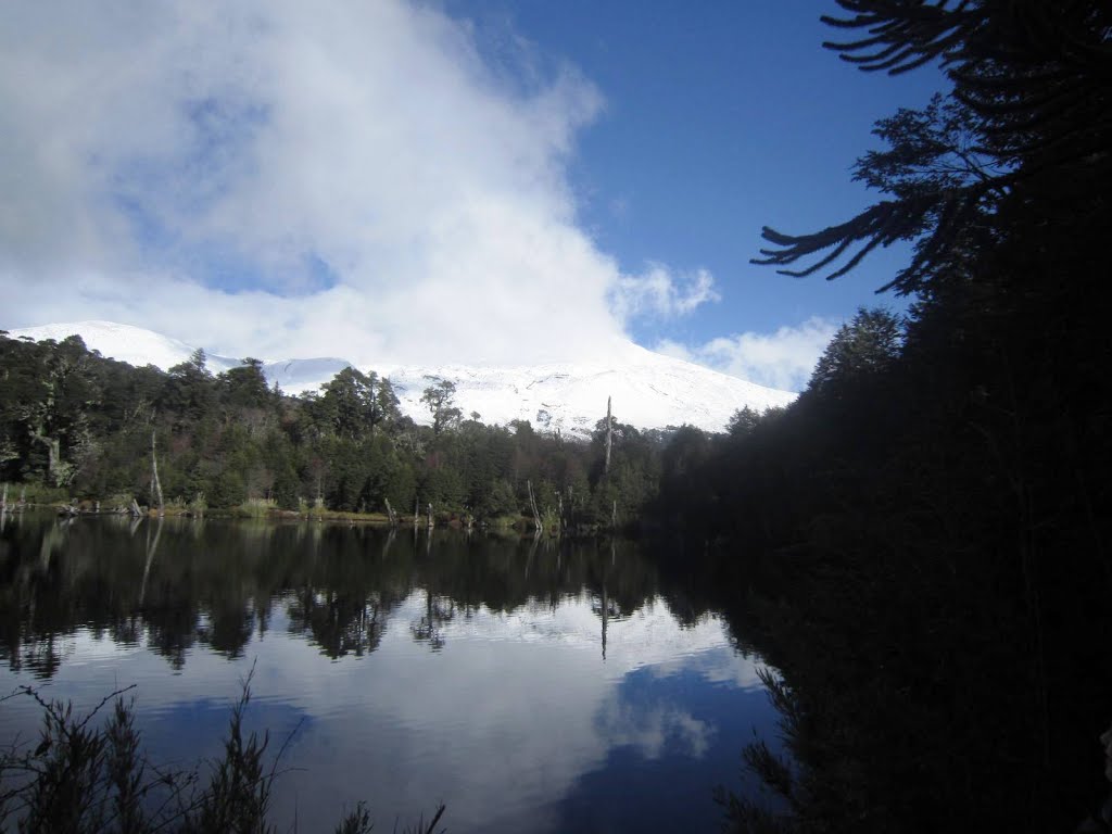 Vistas en la Laguna Captrén, Mayo 2015 by José Pedro Martínez