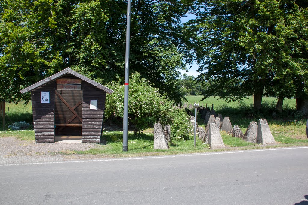 Westwall Panzersperren, Großkampenberg by Roger Geijsels