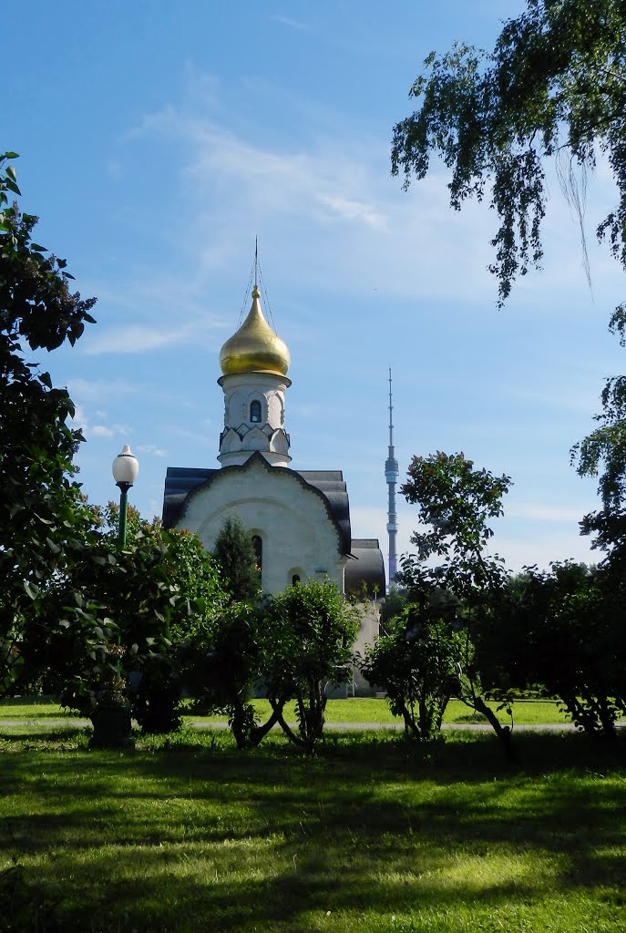 В шепоте теней Мичуринского сада...Moscow. Russia. by Cветлана Рубцова