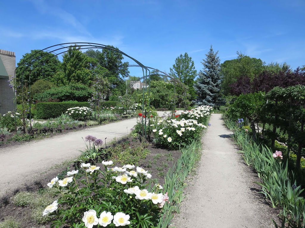 Garfield Park Conservatory, GLCT by Robert Maihofer II