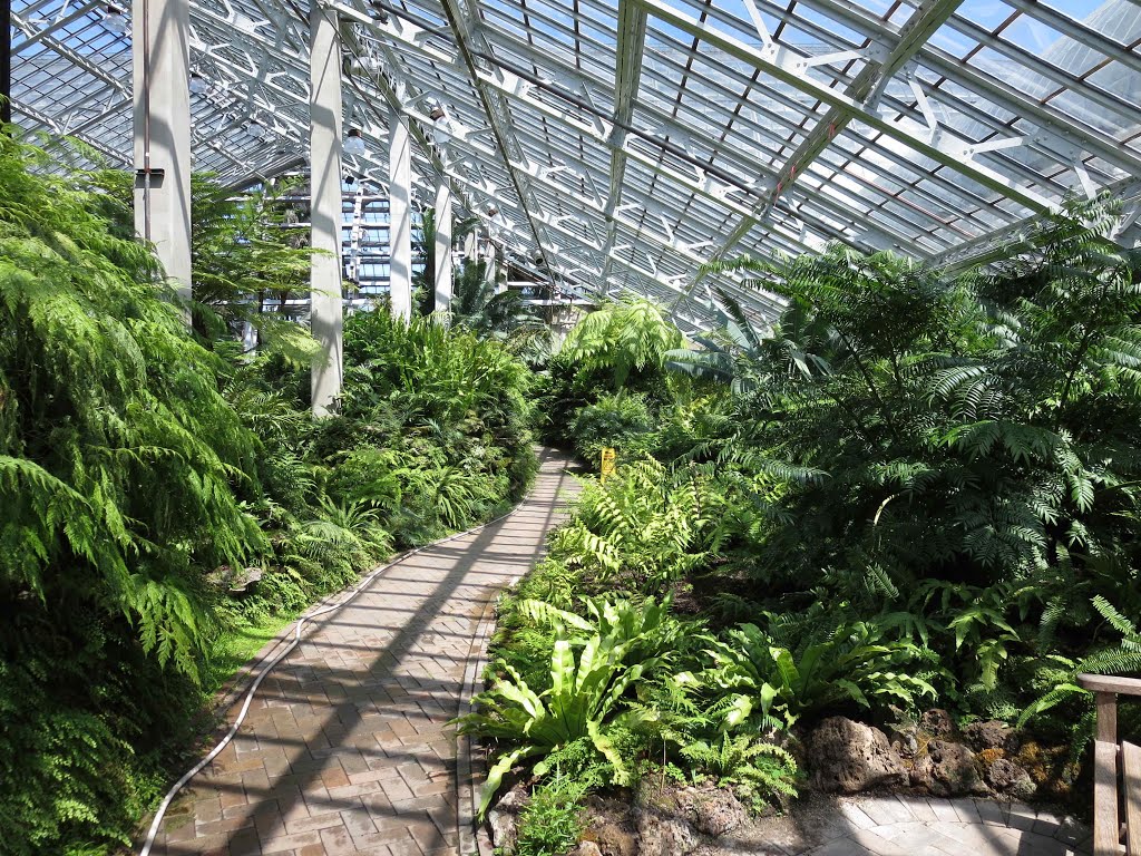 Garfield Park Conservatory, GLCT by Robert Maihofer II