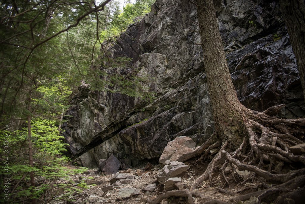 Iron Horse Trail by Rob Kennedy