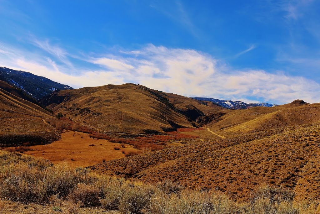 Morgan Creek Valley left West Morgan to the Frank Church Wilderness straight forward to Cobalt and Shoup Id by elkbender257