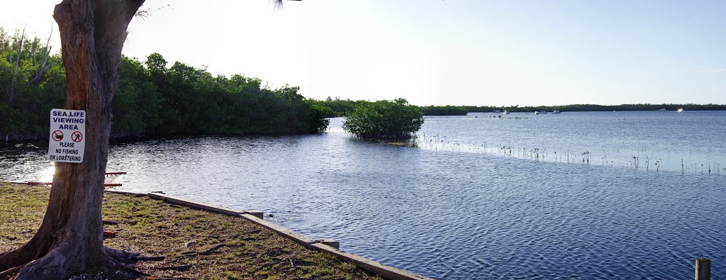 2015 05-30 Florida, Sugarloaf Key - Lodge by Richard Cope