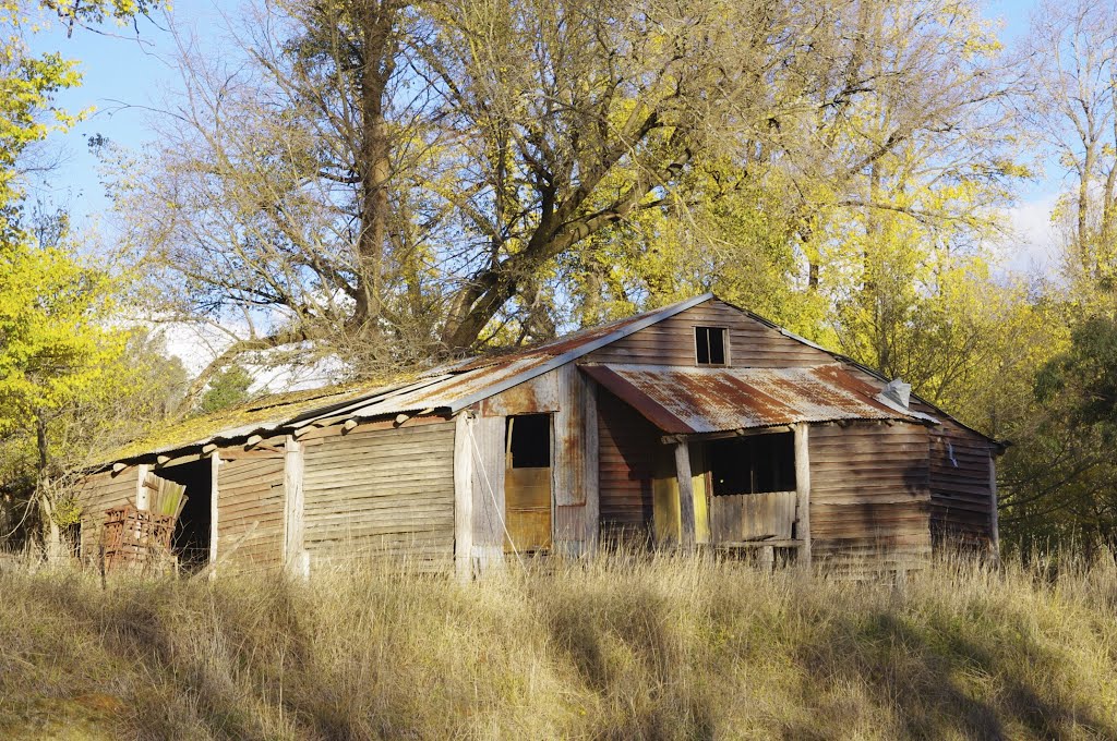 Old timber woolshed at Wondalga by James Vickers