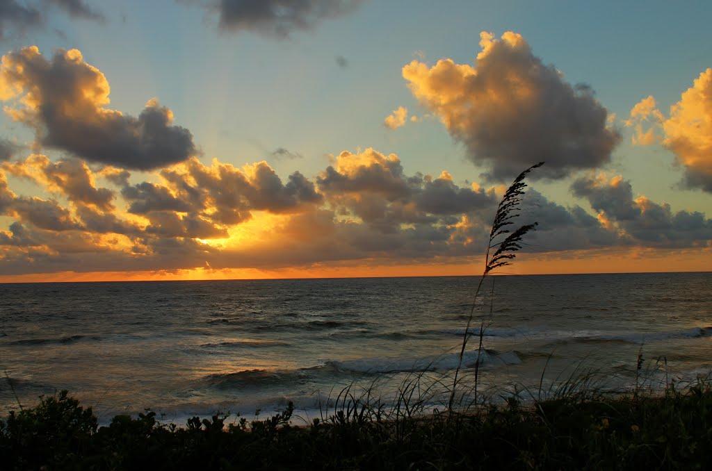 Palm Beach, FL, USA by coleen McDonald