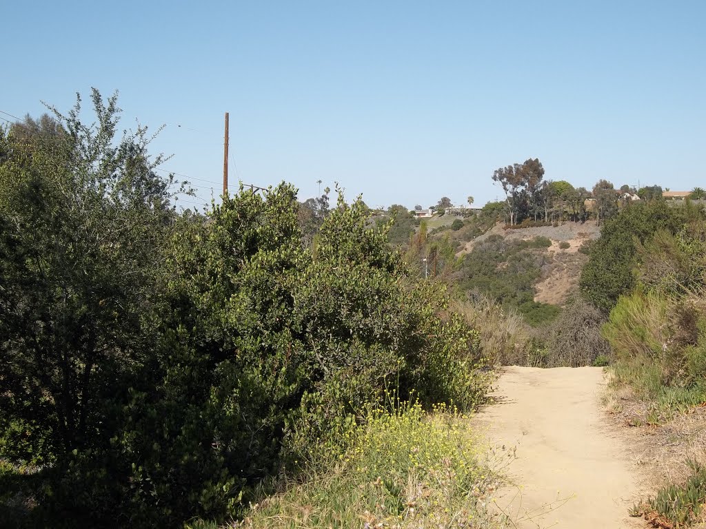 Tecolote Canyon Trail Branch To Balboa Avenue Entrance- 6/6/15 by Brian Powell