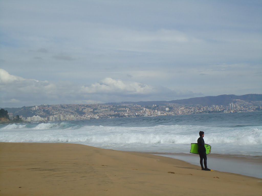 Viña del Mar, Valparaiso Region, Chile by Fredy Rch