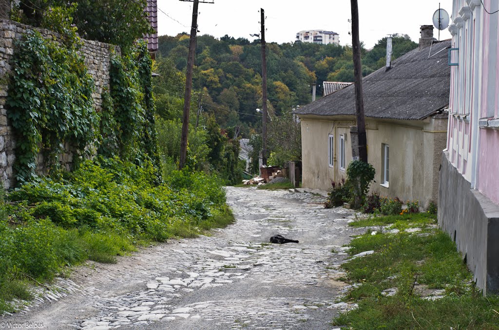 Stare Misto, Kam'yanets'-Podil's'kyi, Khmel'nyts'ka oblast, Ukraine by Виктор Белоус