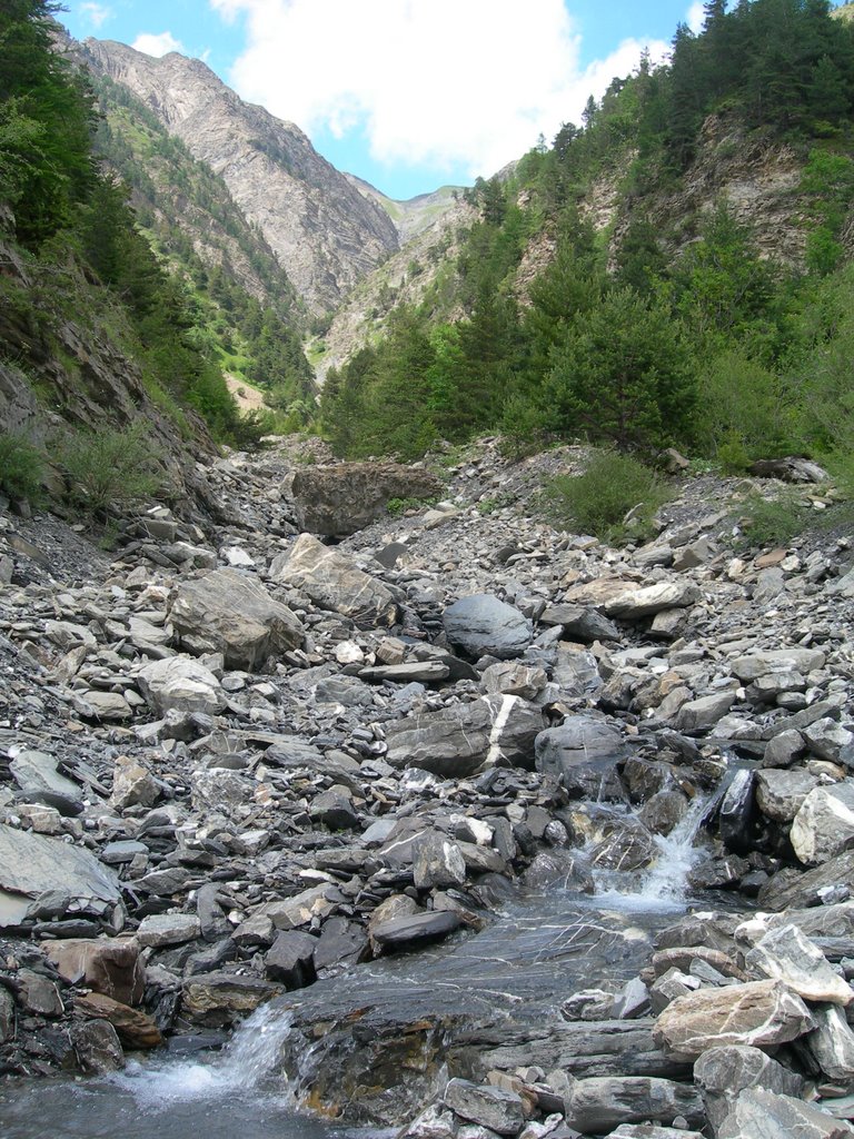 Torrent des Alpets by gengavignet