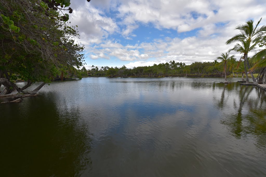 KALAHUIPUA’A HISTORICAL PARK – Lahuipua'a and Kaaiopio Ponds - 011 by Norimoto Sasaki