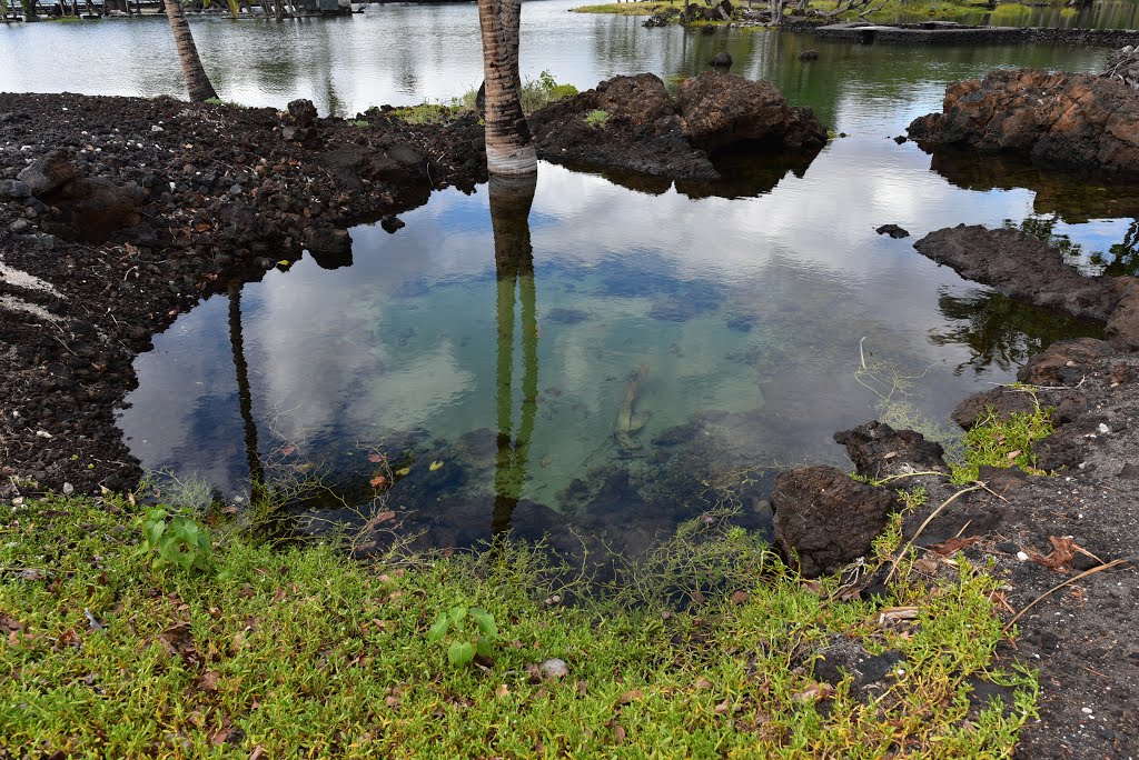 KALAHUIPUA’A HISTORICAL PARK – Lahuipua'a and Kaaiopio Ponds - 015 by Norimoto Sasaki