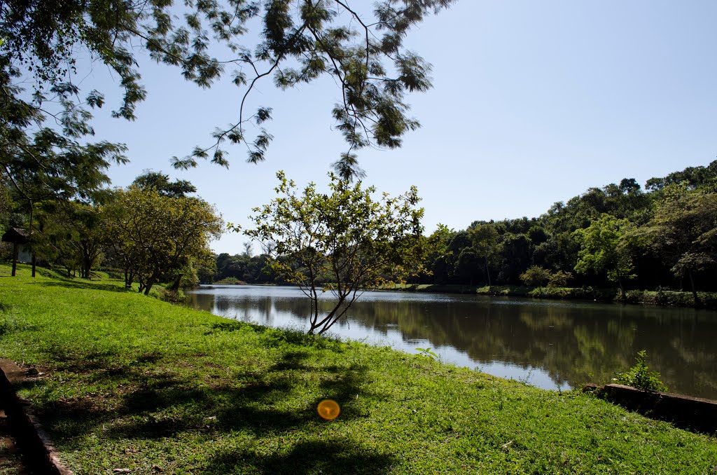 Lago do Parque Arthur Thomas by Cesar Alexandre Fern…