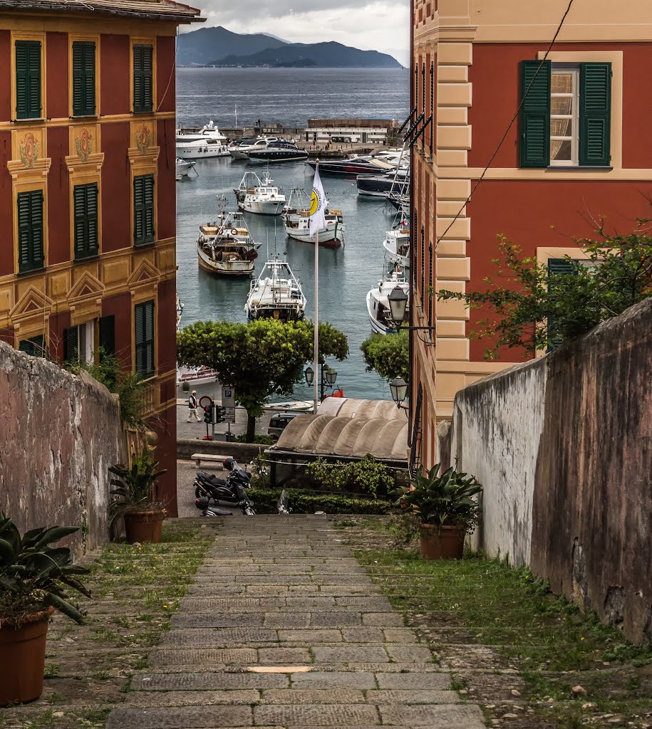 16038 Santa Margherita Ligure, Metropolitan City of Genoa, Italy by Peter Downes