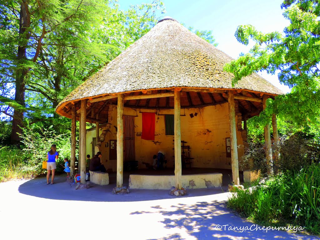 Woodland Park Zoo Zoological garden in Seattle, Washington by Tanichka 88