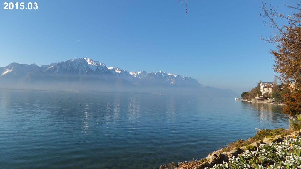 Chablais Alps at Lake Geneva by Irmantas Kanapeckas